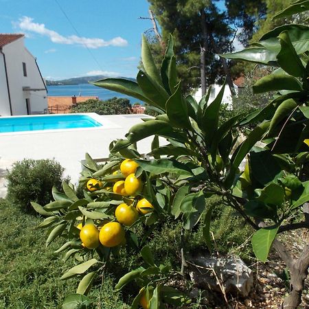 Apartments Villa Goja Trogir Rum bild