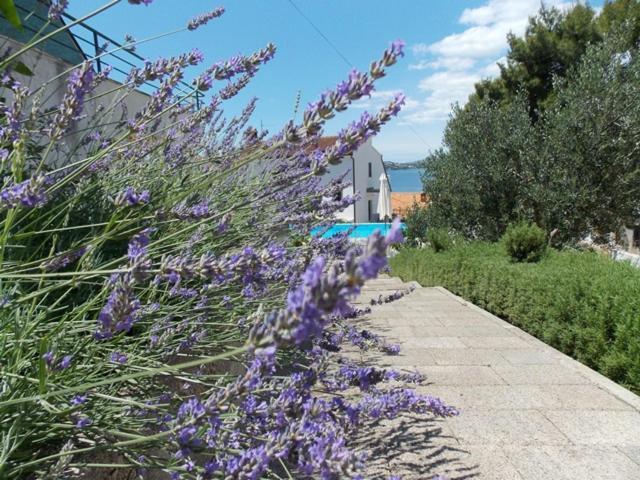 Apartments Villa Goja Trogir Rum bild