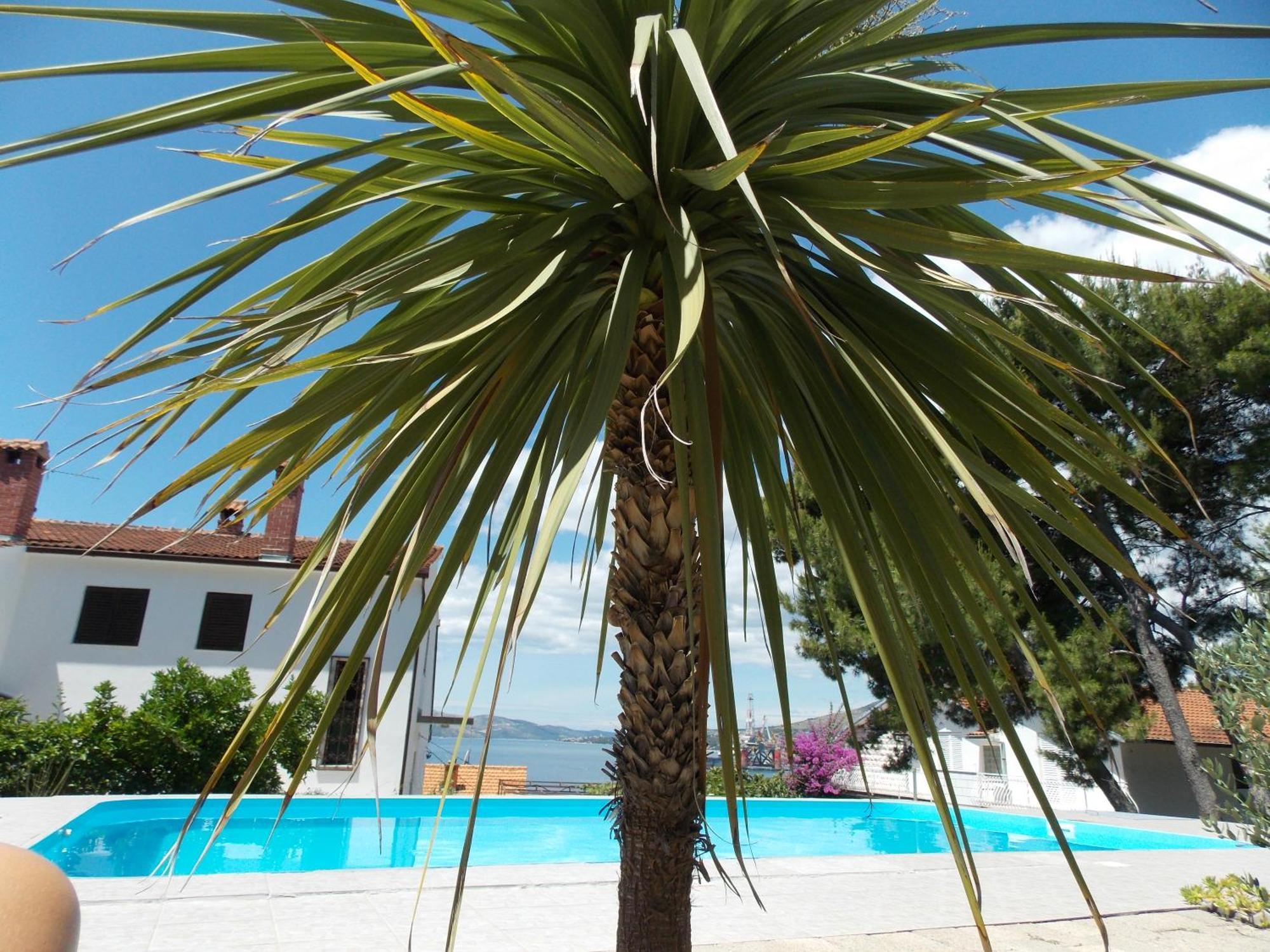 Apartments Villa Goja Trogir Rum bild