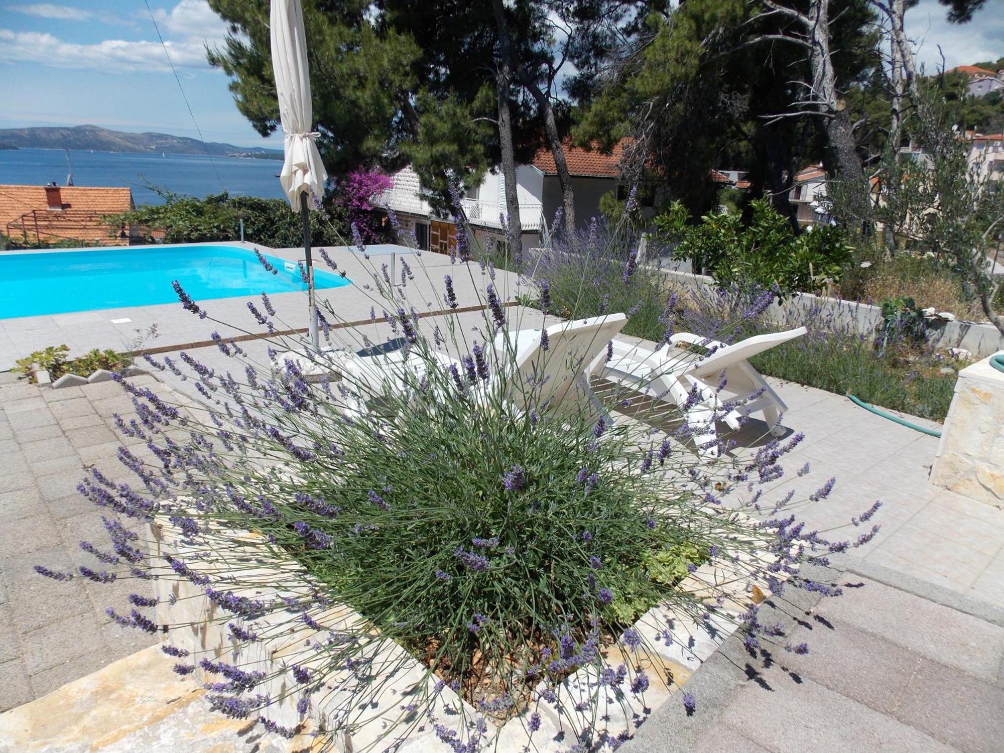 Apartments Villa Goja Trogir Rum bild